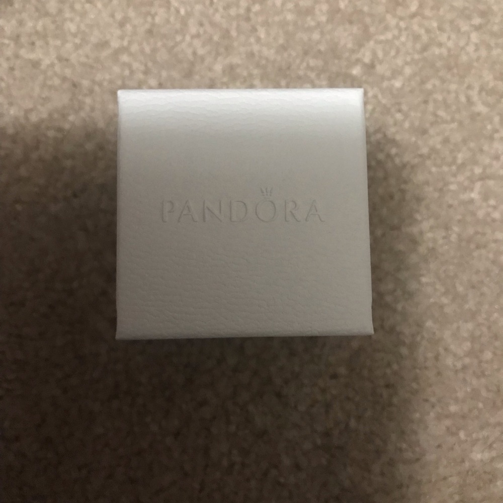 Pandora charm box